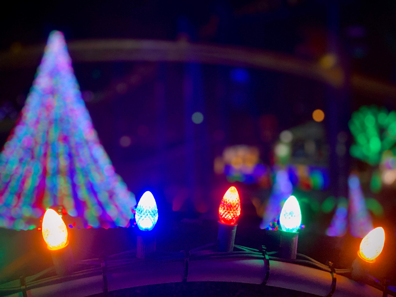 Dutch Winter Wonderland Castle
