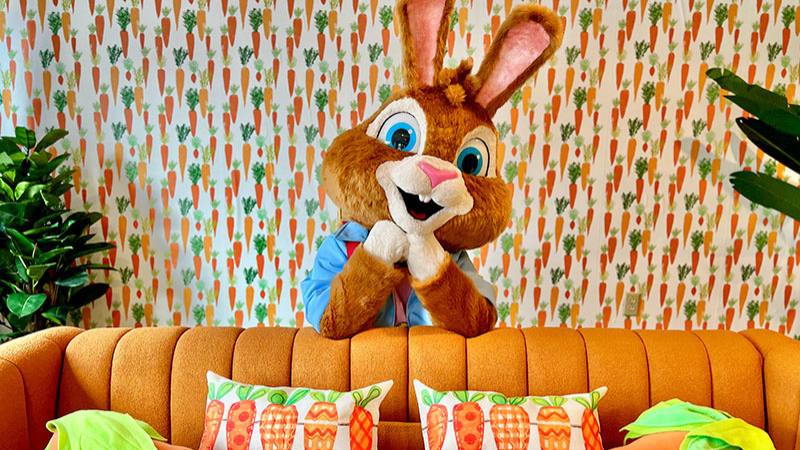 Tuft the Bunny posing