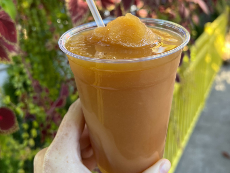 apple cider slushie