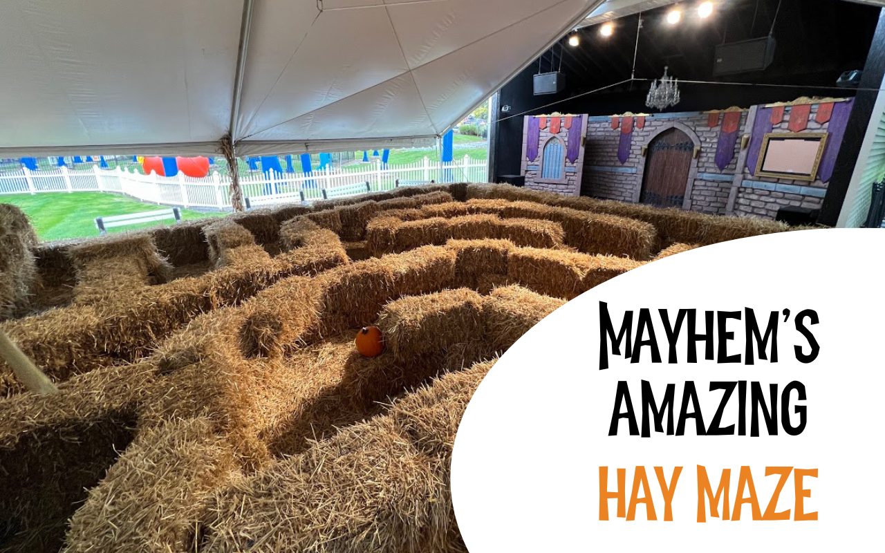 Mayhem Maze