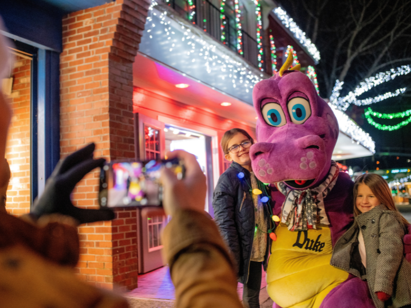 dutch winter wonderland