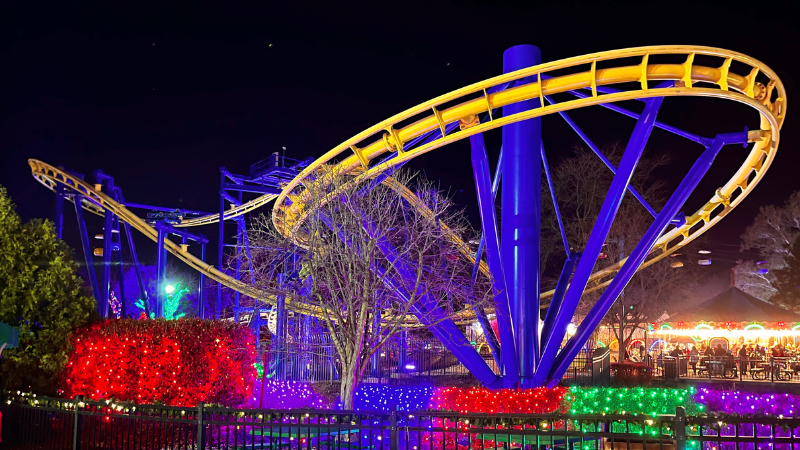 Opening Sale - DW Season Pass