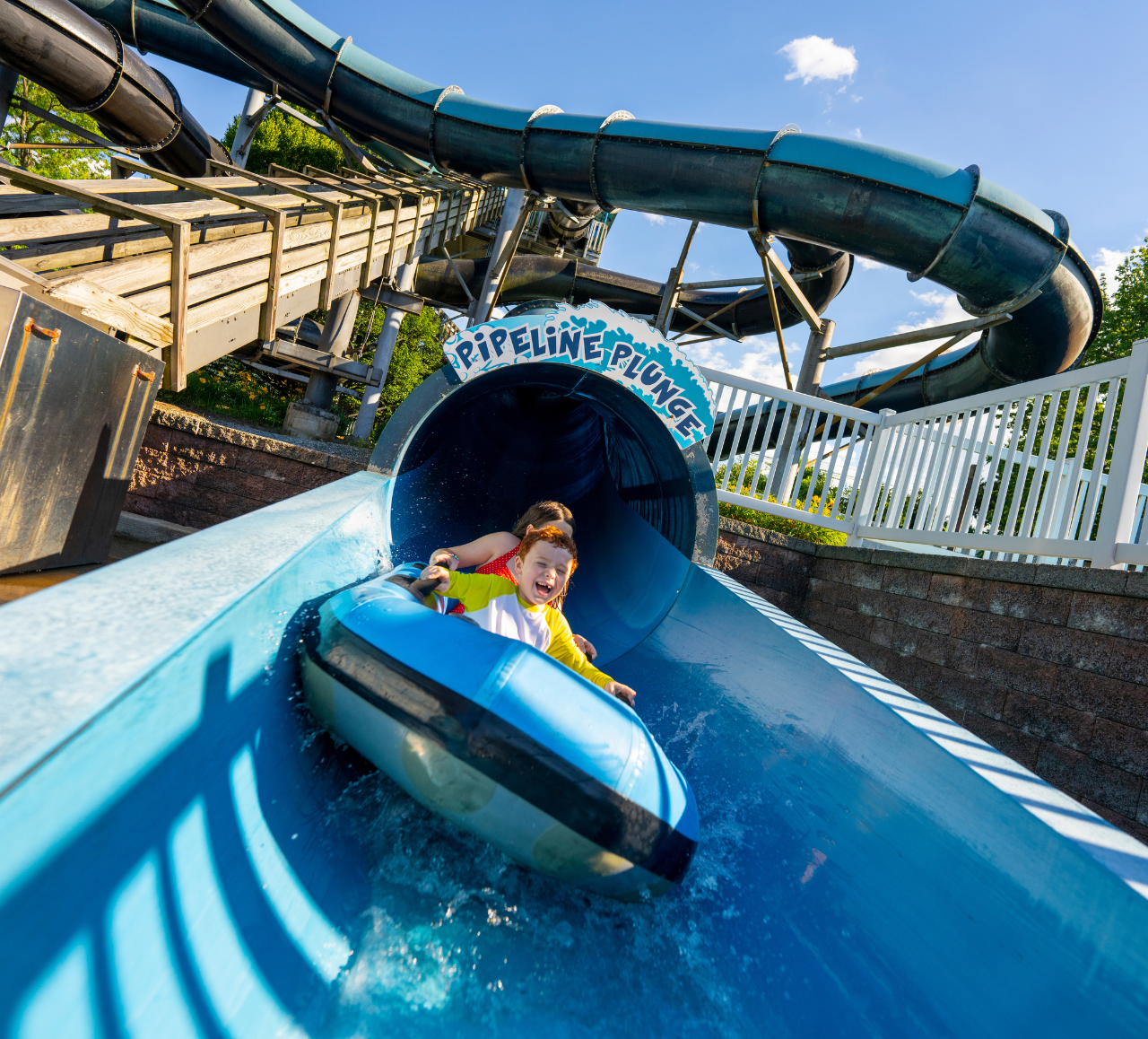 Tuft striking a pose