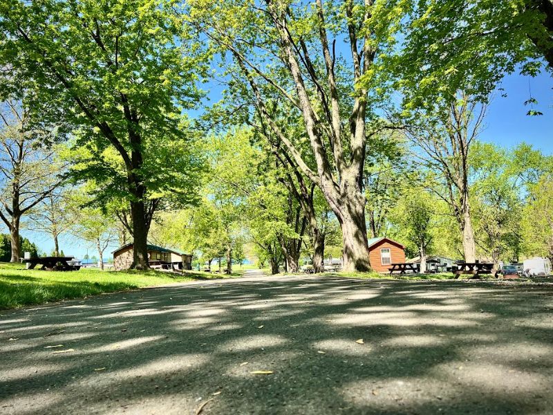 Summer Property OMS - 4