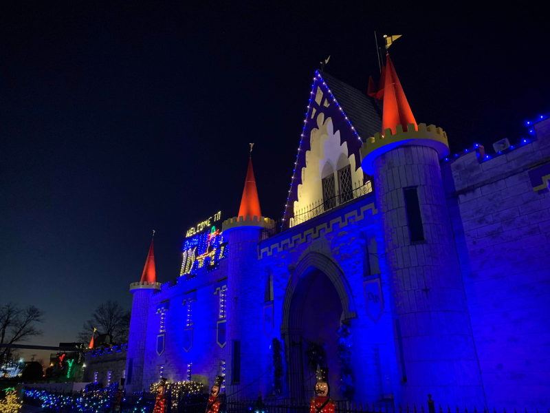 Tuft eating a carrot